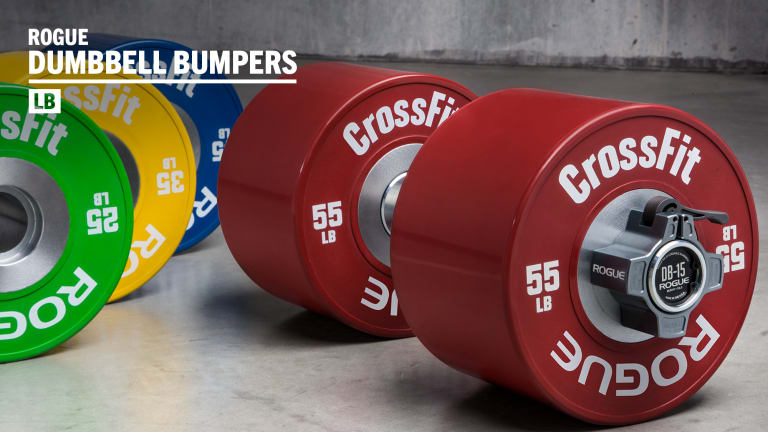 Rogue Dumbbell Bumpers | Rogue Fitness